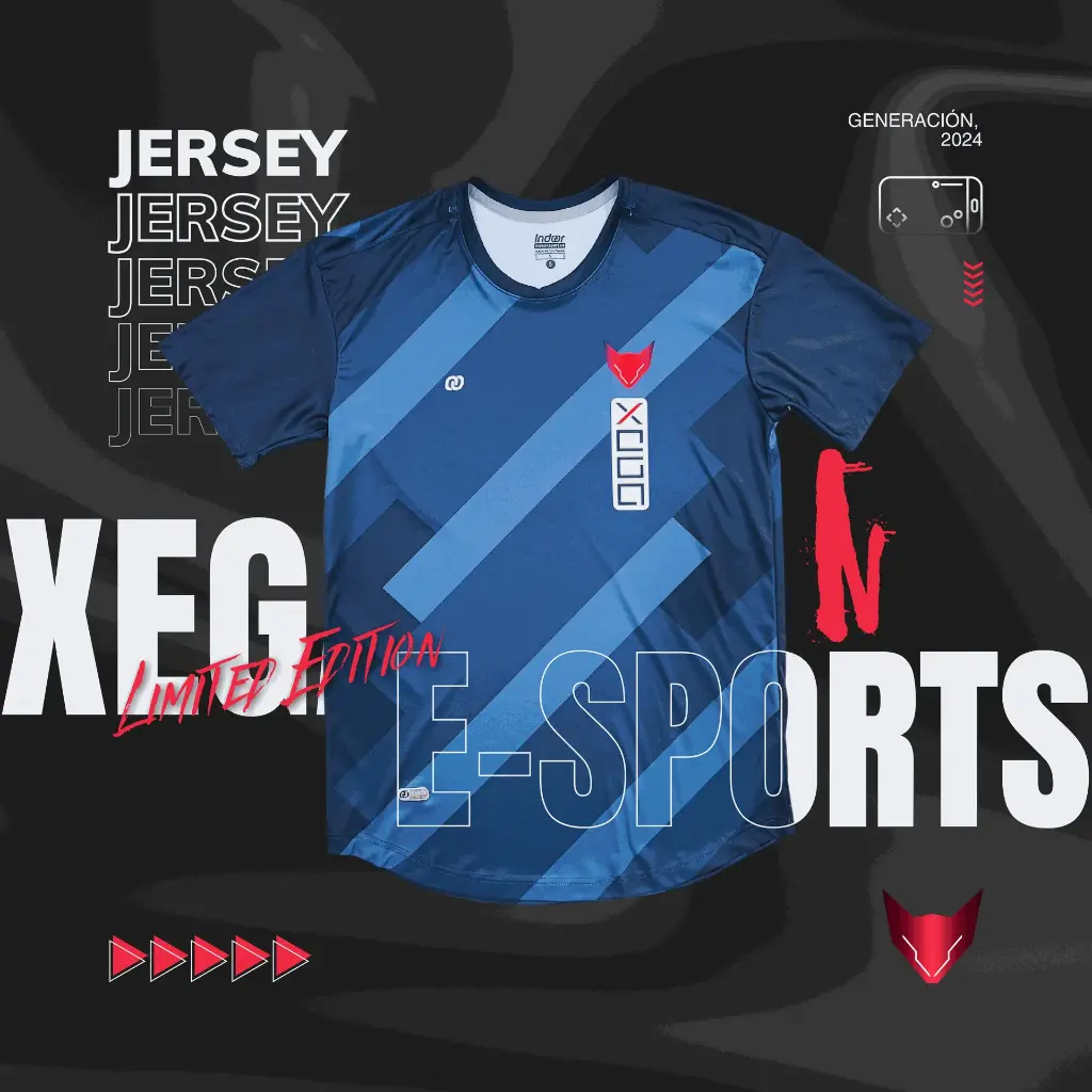 CAMISETA PRO GAMER