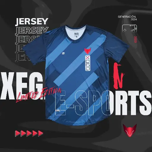 CAMISETA PRO GAMER